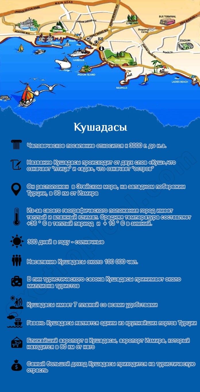 Инфографика интересныхфактоф о Кушадасы