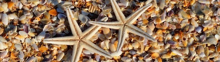 Сейшельские острова